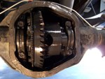 Rear Differential